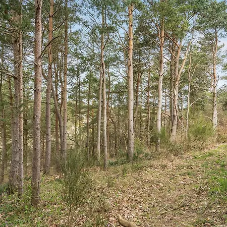 3 Bedroom Lovely In