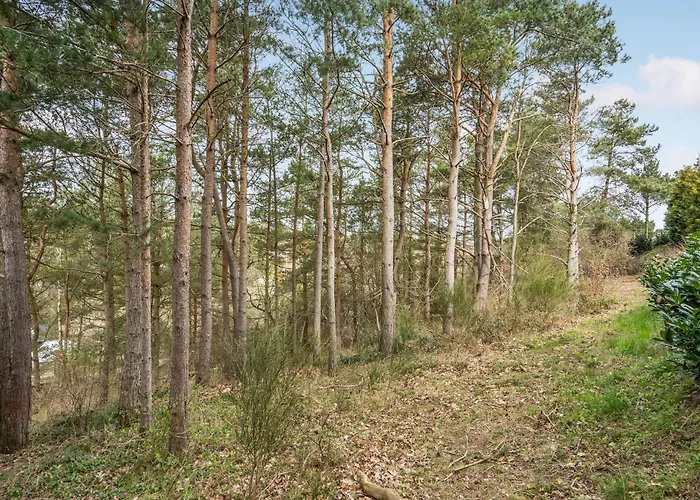 3 Bedroom Lovely In